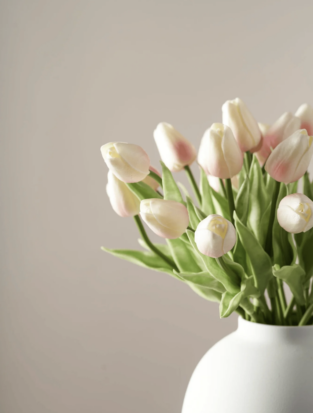 Tulipanes Baby Pink
