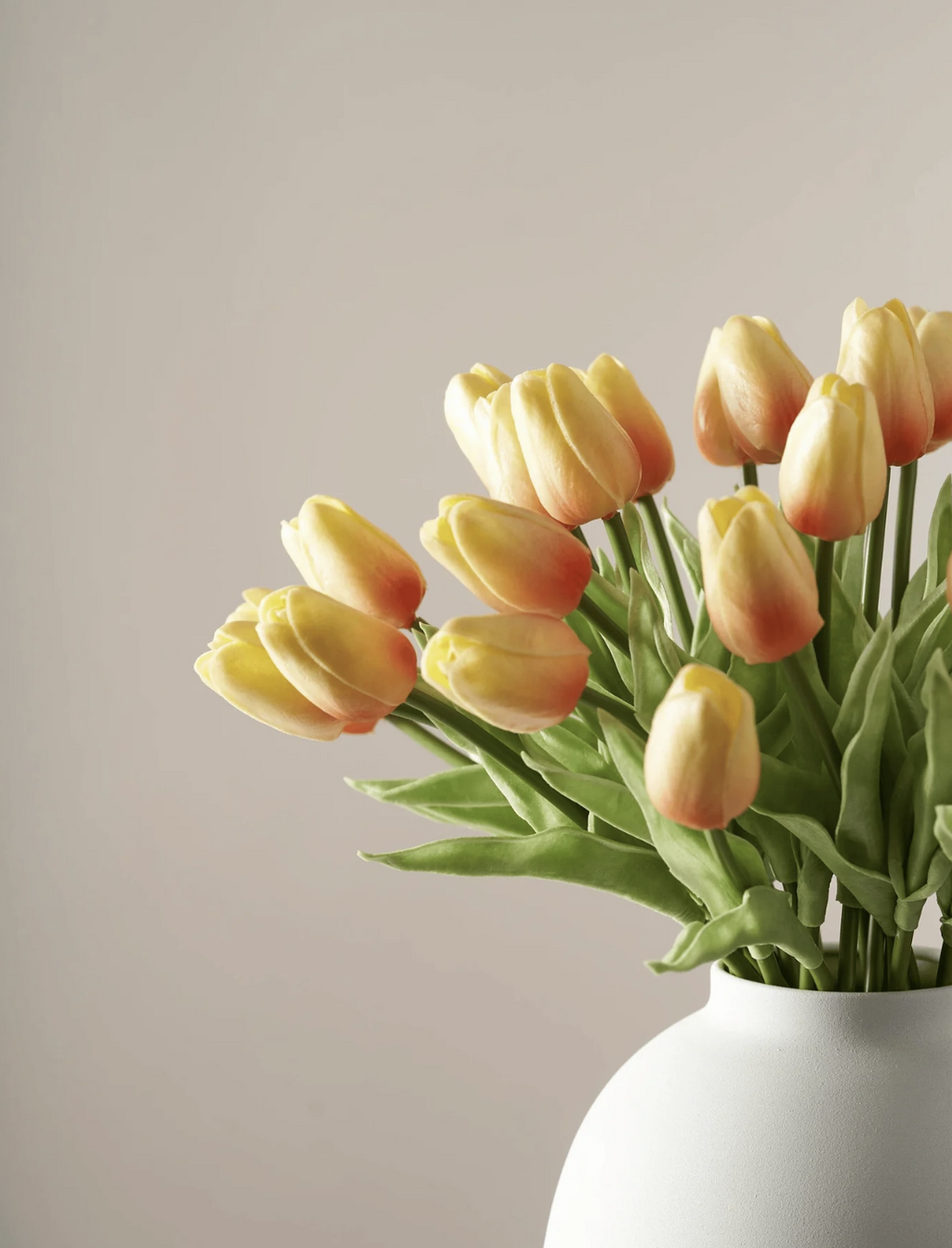 Tulipanes Amarillo Amanecer