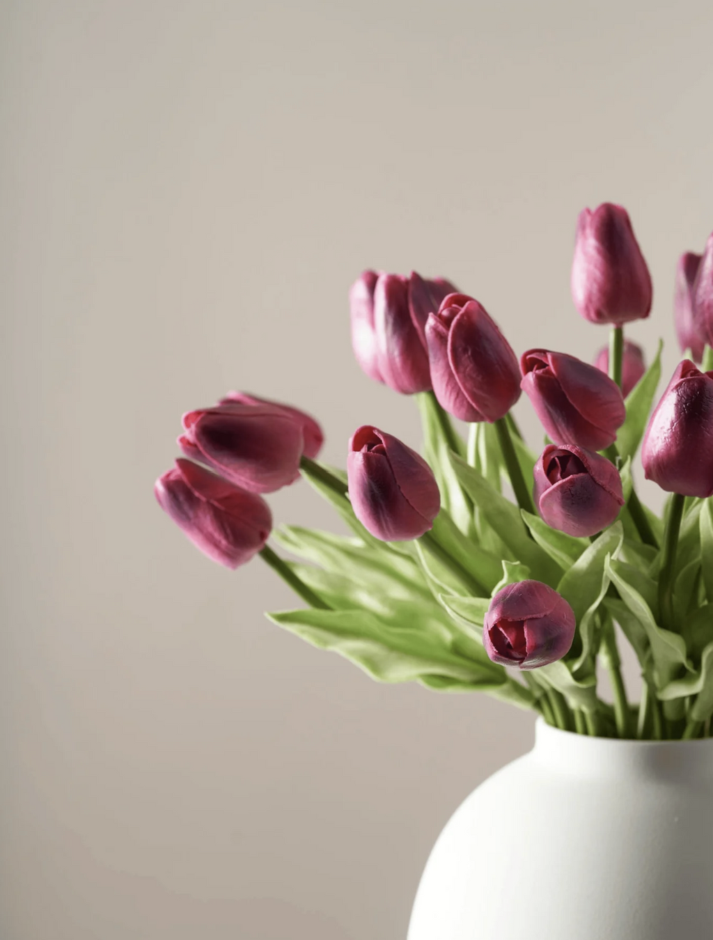 Tulipanes Morados