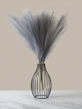 Plumas de Pampas - Gris Claro
