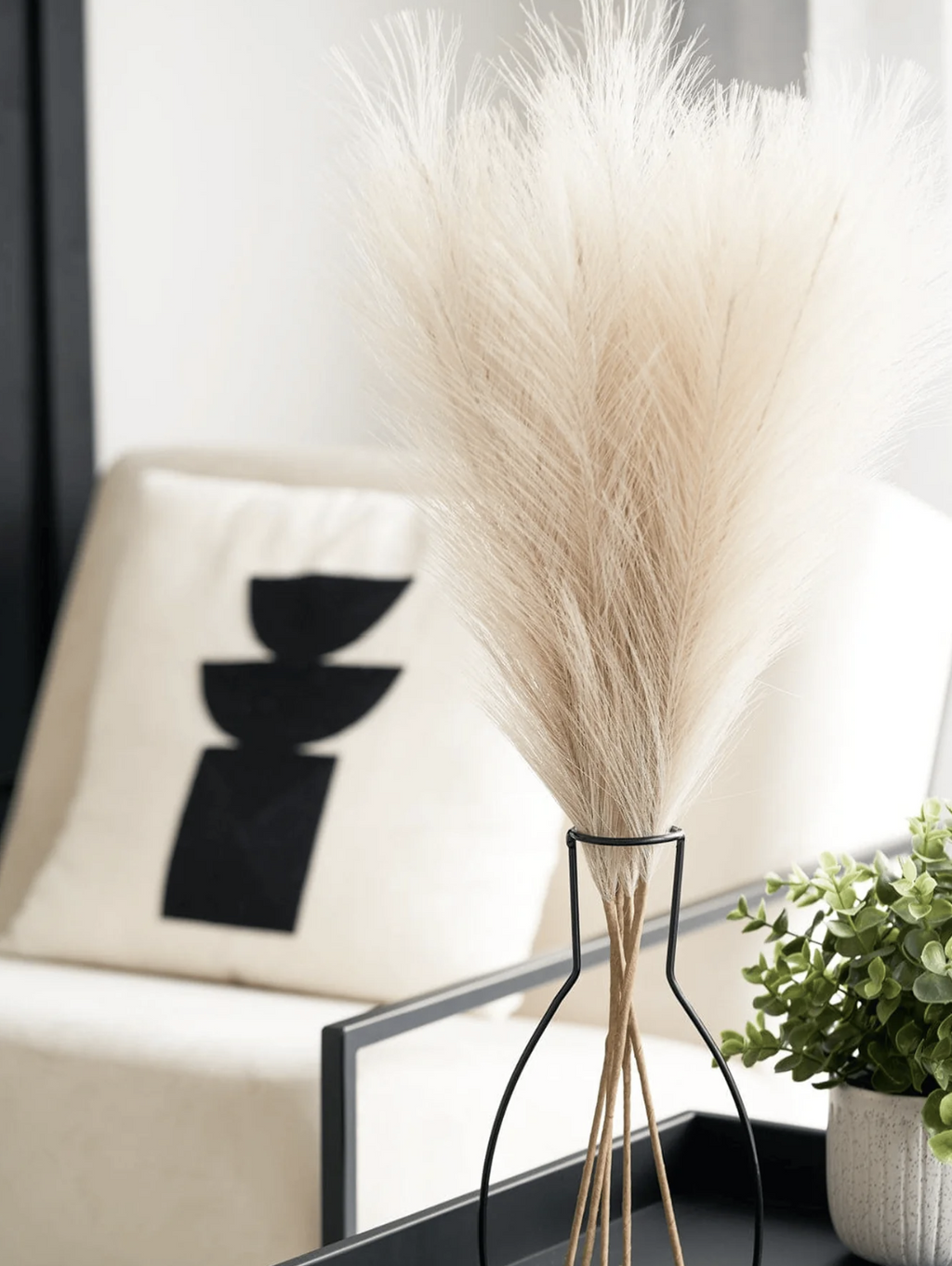 Plumas de Pampa - Crema