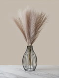 Plumas de Pampas - Crema Rosado