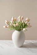 Tulipanes Baby Pink