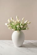 Tulipanes Blanco Crema