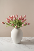 Tulipanes Rosa